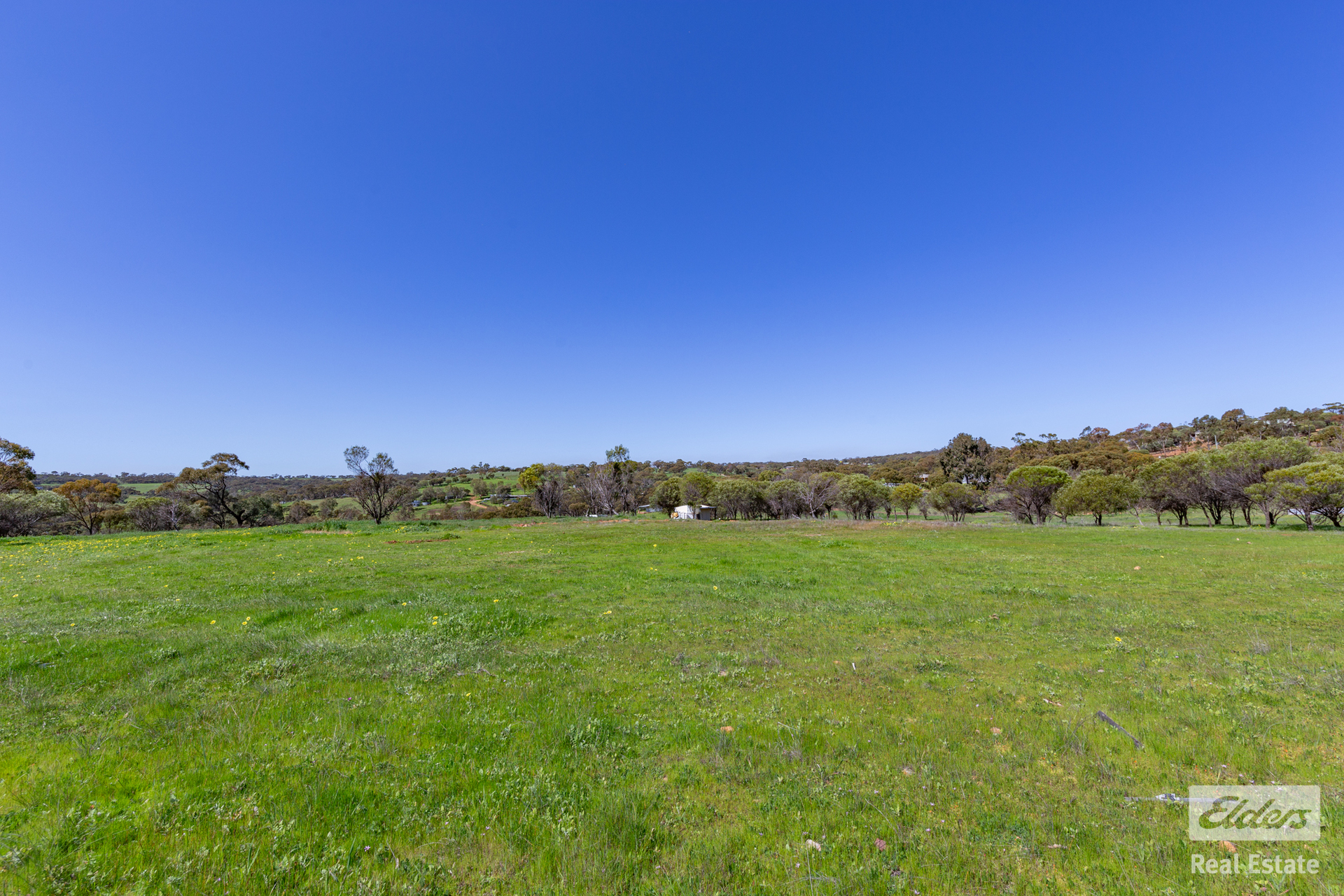 62 FERGUSON RD, COONDLE WA 6566, 0 rūma, 0 rūma horoi, Section