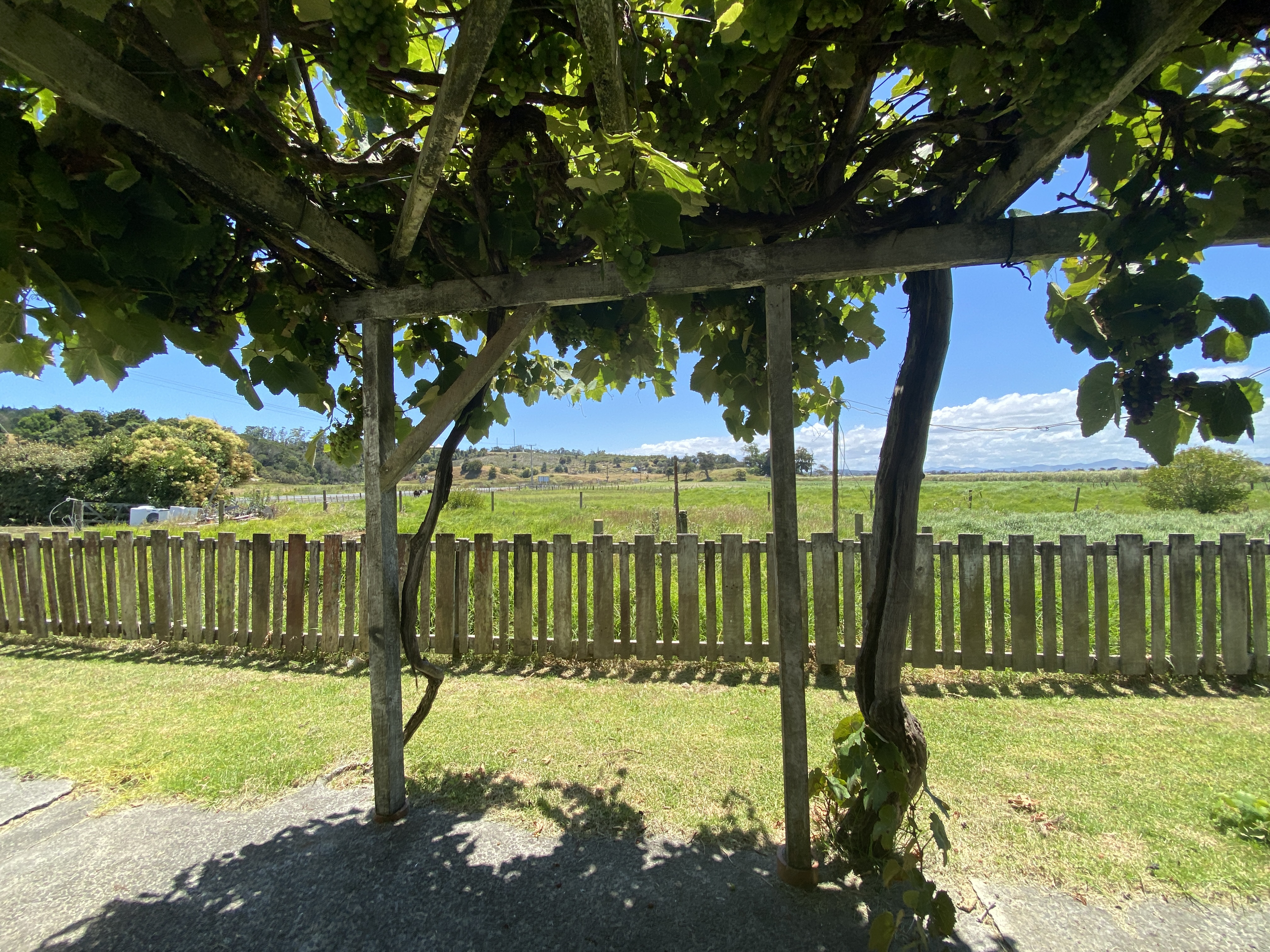 55 Pouto Road, Dargaville, Kaipara, 0 침실, 0 욕실