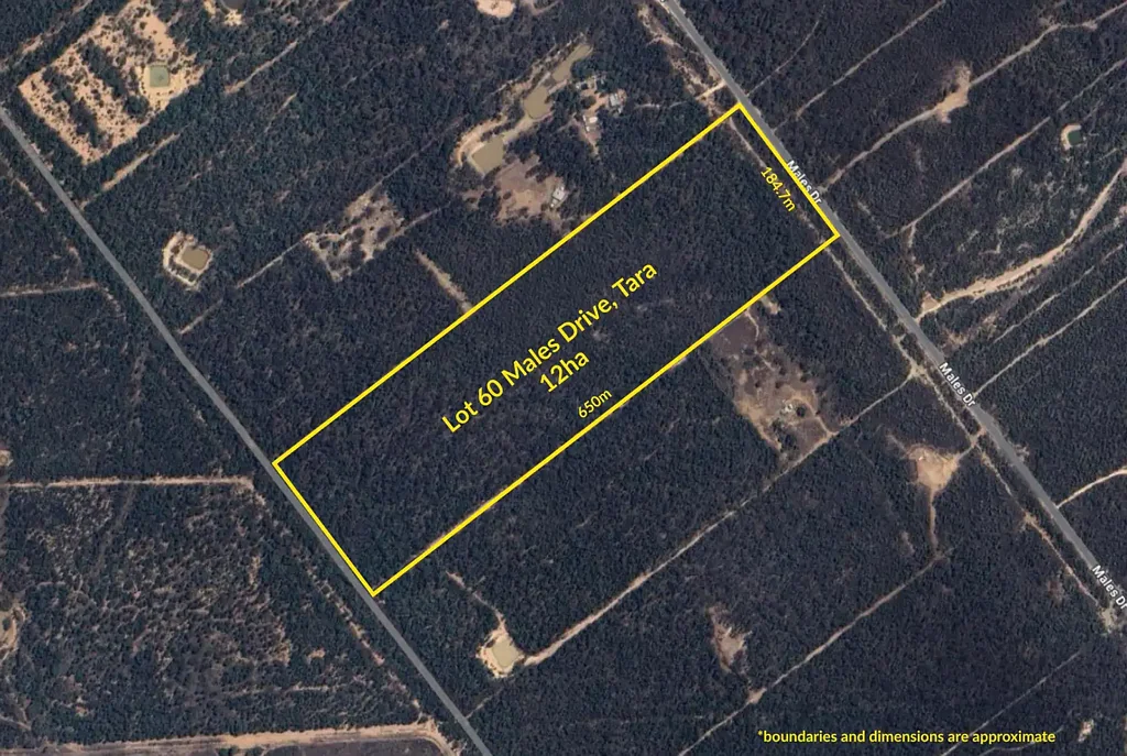 Lot 60 Males Drive, Tara, QLD 4421