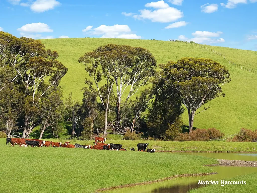 Coleraine  Build your dream home on acreage or great turnout grazing block.
