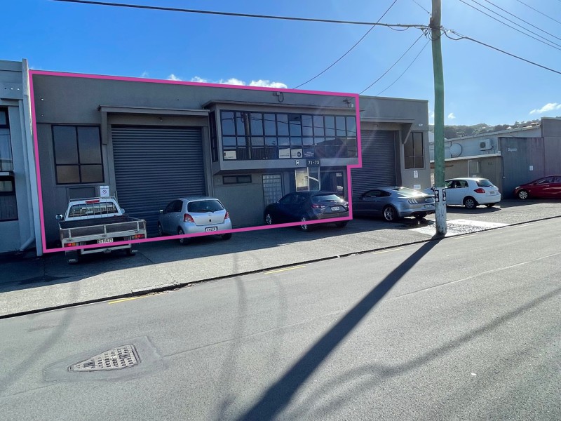 71 Nelson Street, Petone, Lower Hutt, 0房, 0浴