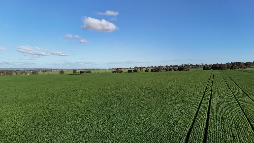 Huddleston Productive Cropping Land