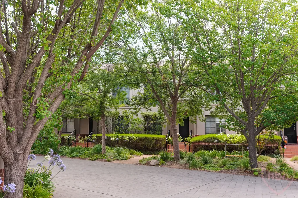7/37 Ipima Street, Braddon, ACT 2612