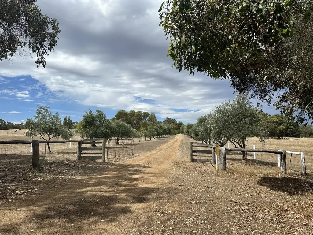 Mount Barker MORE SHEDS THAN YOU’LL EVER FILL