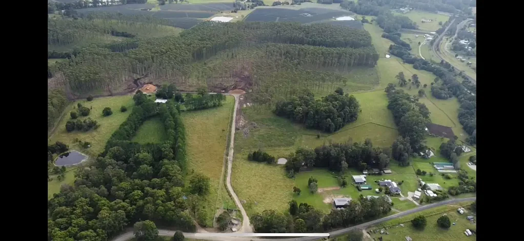 Eungai Rail Forestry, Cattle & Lifestyle