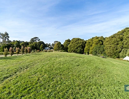 5 Pound Road, Beech Forest, VIC 3237, 0 ਕਮਰੇ, 0 ਬਾਥਰੂਮ, Lifestyle Property