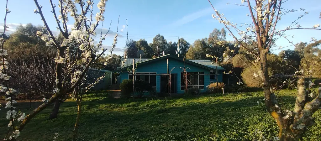 South Gundagai River acreage of exceptional beauty