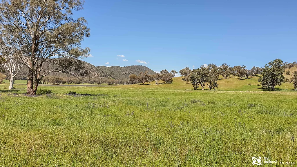 Mudgee FARMING AND LIFESTYLE JUST OUT OF MUDGEE