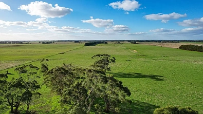 59 Gapes Road, Winslow, VIC 3281, 0 slaapkamers, 0 badkamers, Lifestyle Property