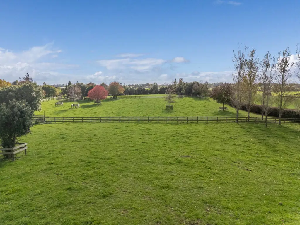 Karaka Prime Bareland Opportunity With Established Trees