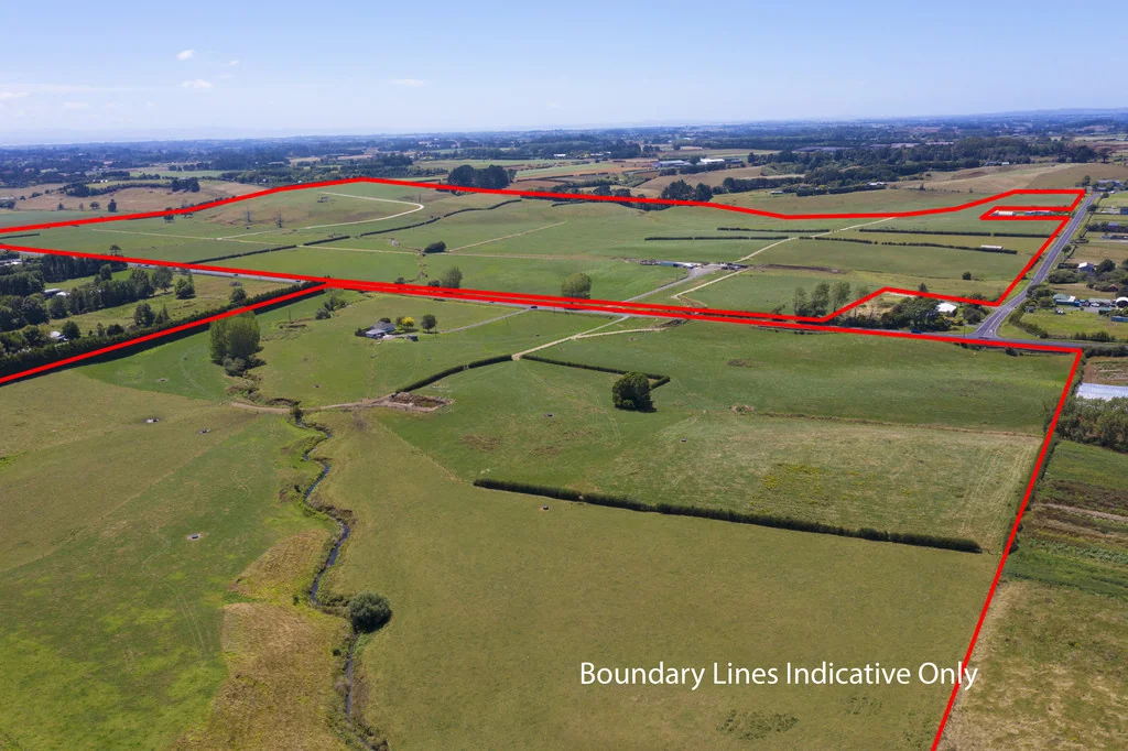 Puni Multiple Title Property