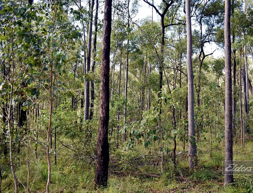 Lot 850 Arborthirtyone Road, Glenwood, Wide Bay, 0房, 0浴, Section