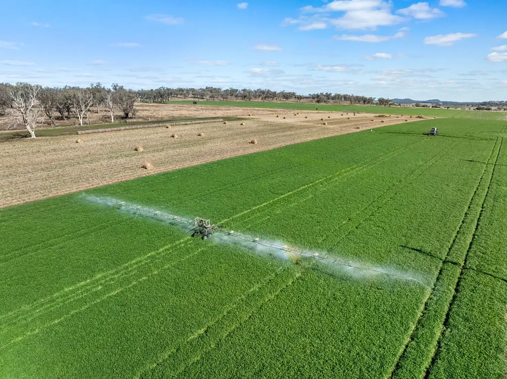 Linthorpe Irrigation Grazing Equine Lifestyle - Versatile Holding in a Premium Location