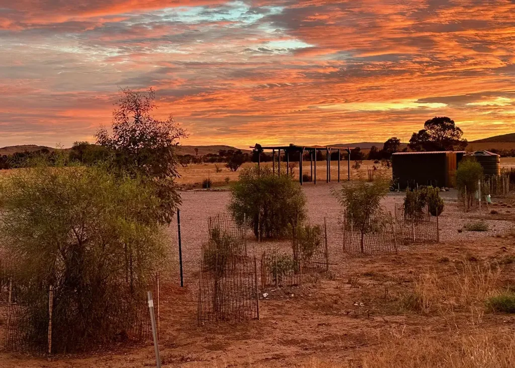 4 Rademaker Road, Carrieton, SA 5432
