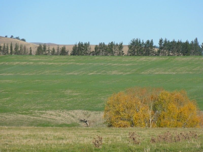 260 Lyndon Road, Waiau, Hurunui, 0房, 0浴