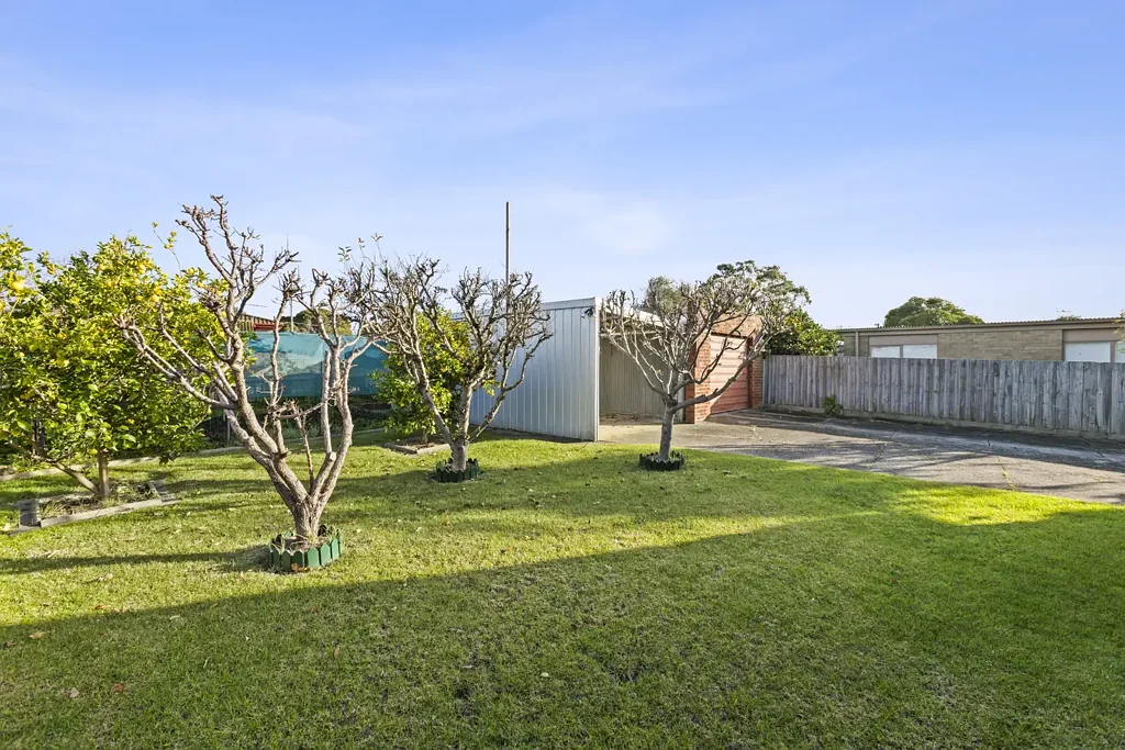 Grovedale 3Moenga Potential Packed On Large Allotment