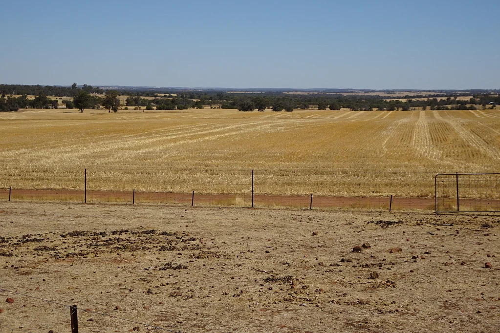 East Pingelly Small Farm Opportunity