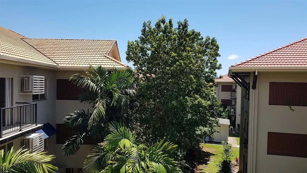 509 Clifton Road, Clifton Beach, QLD 4879