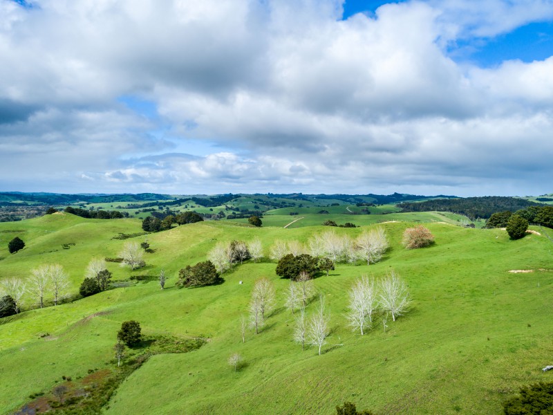 1427 Mititai Road, Arapohue, Kaipara, 0 غرف, 0 حمامات