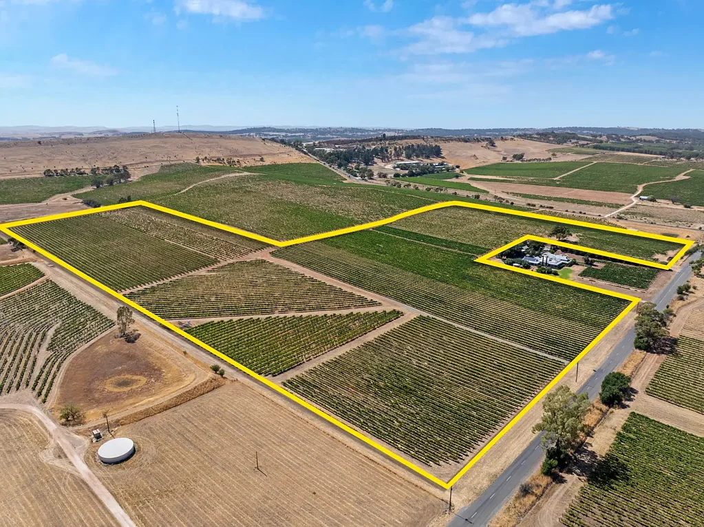 Spring Farm  Signature Vineyard Retreat on Spring Farm Road