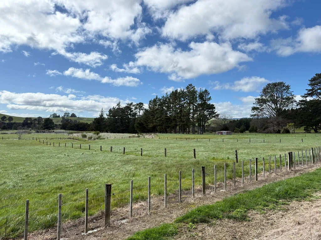 Dannevirke  Several purchase options