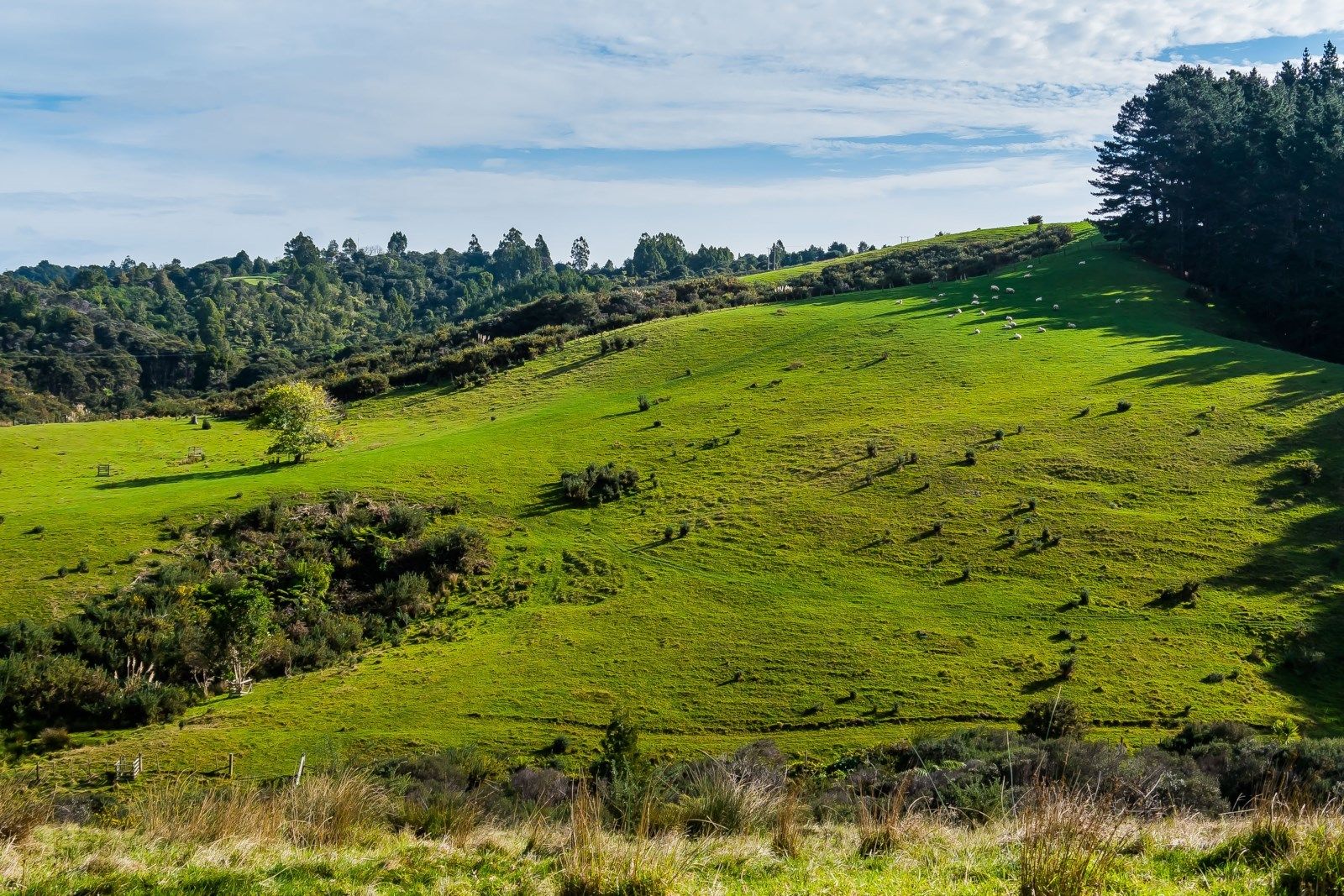 126 Richards Road, Dairy Flat, Auckland - Rodney, 3 Kuwarto, 0 Banyo