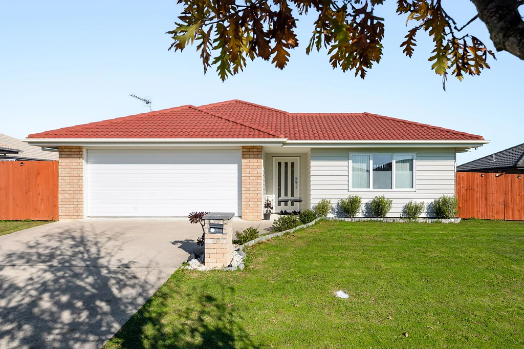 12 Briannarose Drive, Fitzroy, Hamilton, Waikato