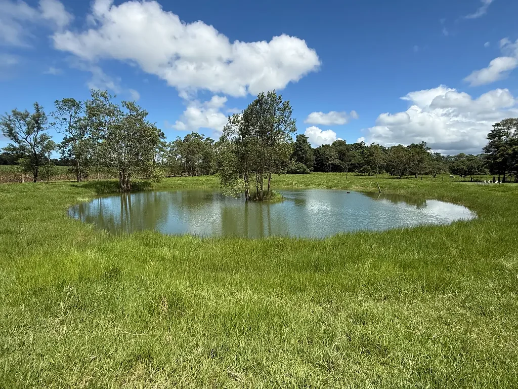 89 McQuillan Road, Jarra Creek, QLD 4854