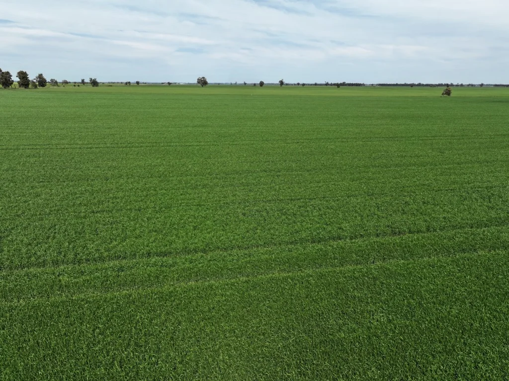 Coolamon Small Farming Block Ready To Perform