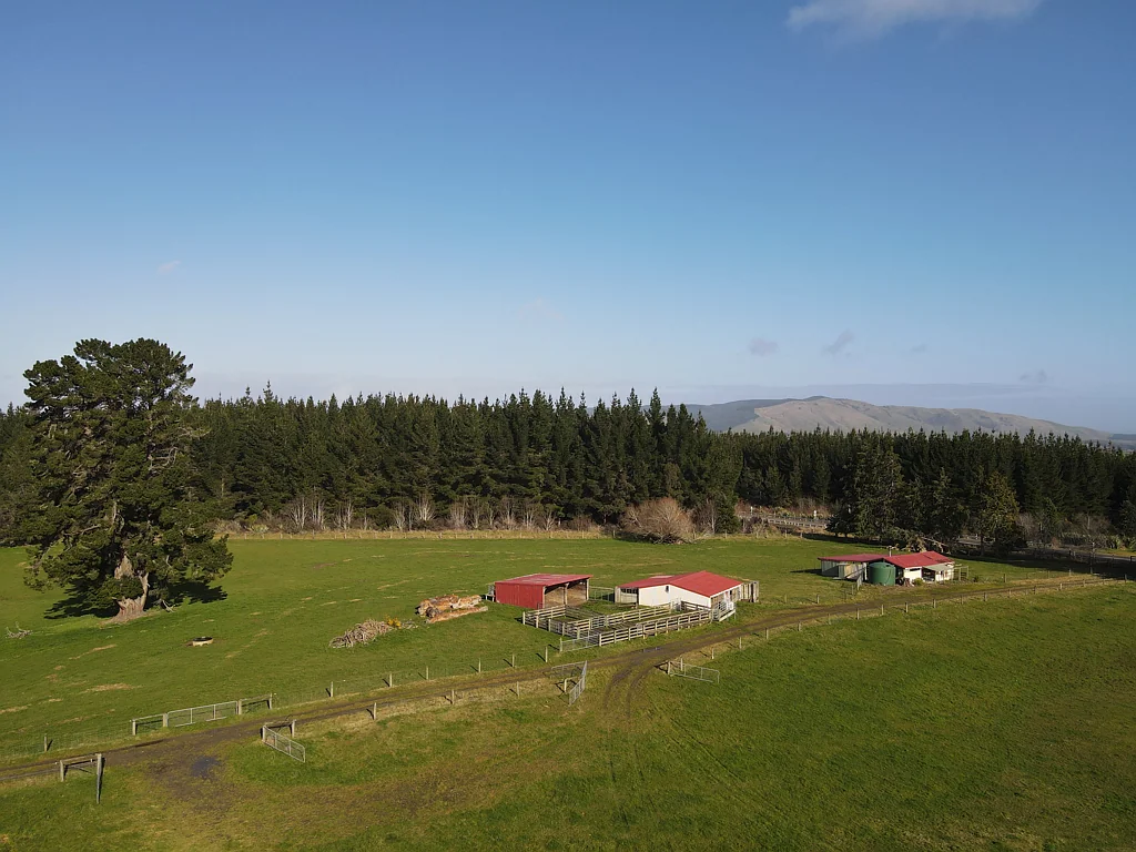 Ohai Grazing & Recreational Block - 22.3ha