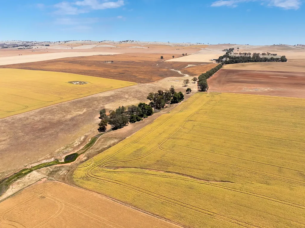 'Home Block' Euromina Road, Broughton River Valley, SA 5454