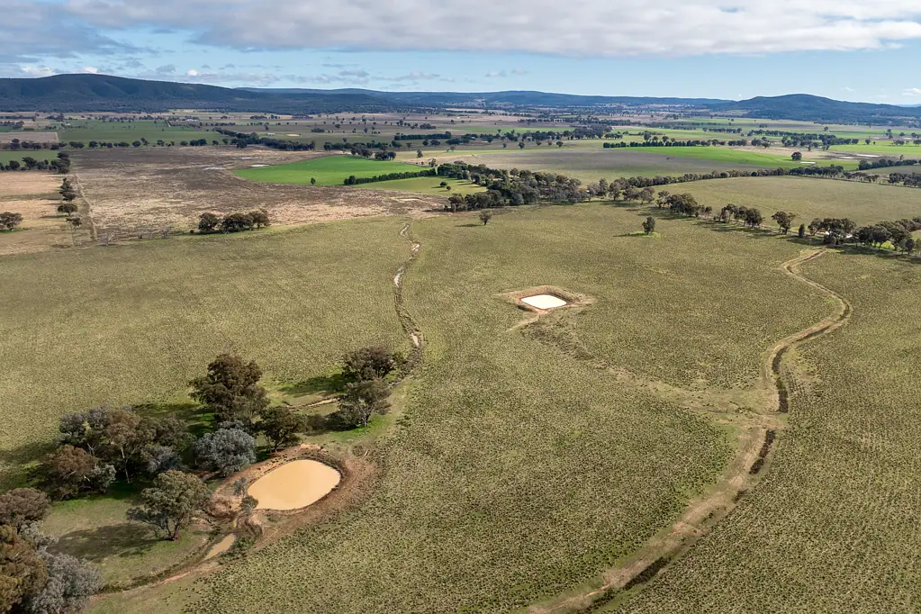 Cowra 157ACRE*, PRIME COUNTRY WITH A BUILDING ENTITLEMENT!