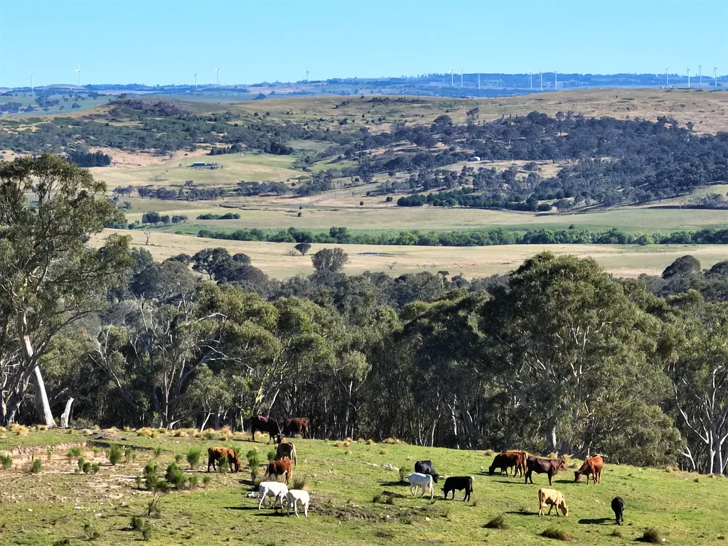 1886 Gurrundah Road, Goulburn, NSW 2580