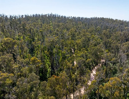 Lot 452 The Snake Track Via Kiah, Eden, South Coast, 0 Schlafzimmer, 0 Badezimmer, Lifestyle Property