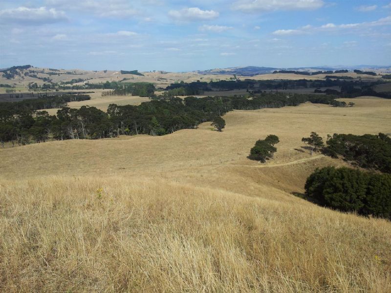 14 Fern Road, Mangatangi, Waikato, 0房, 1浴