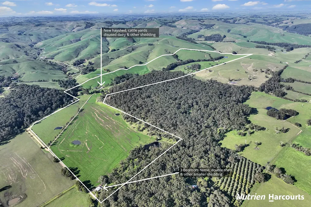 Kernot  Oak Grove - Prime Grazing Country with Endless Potential