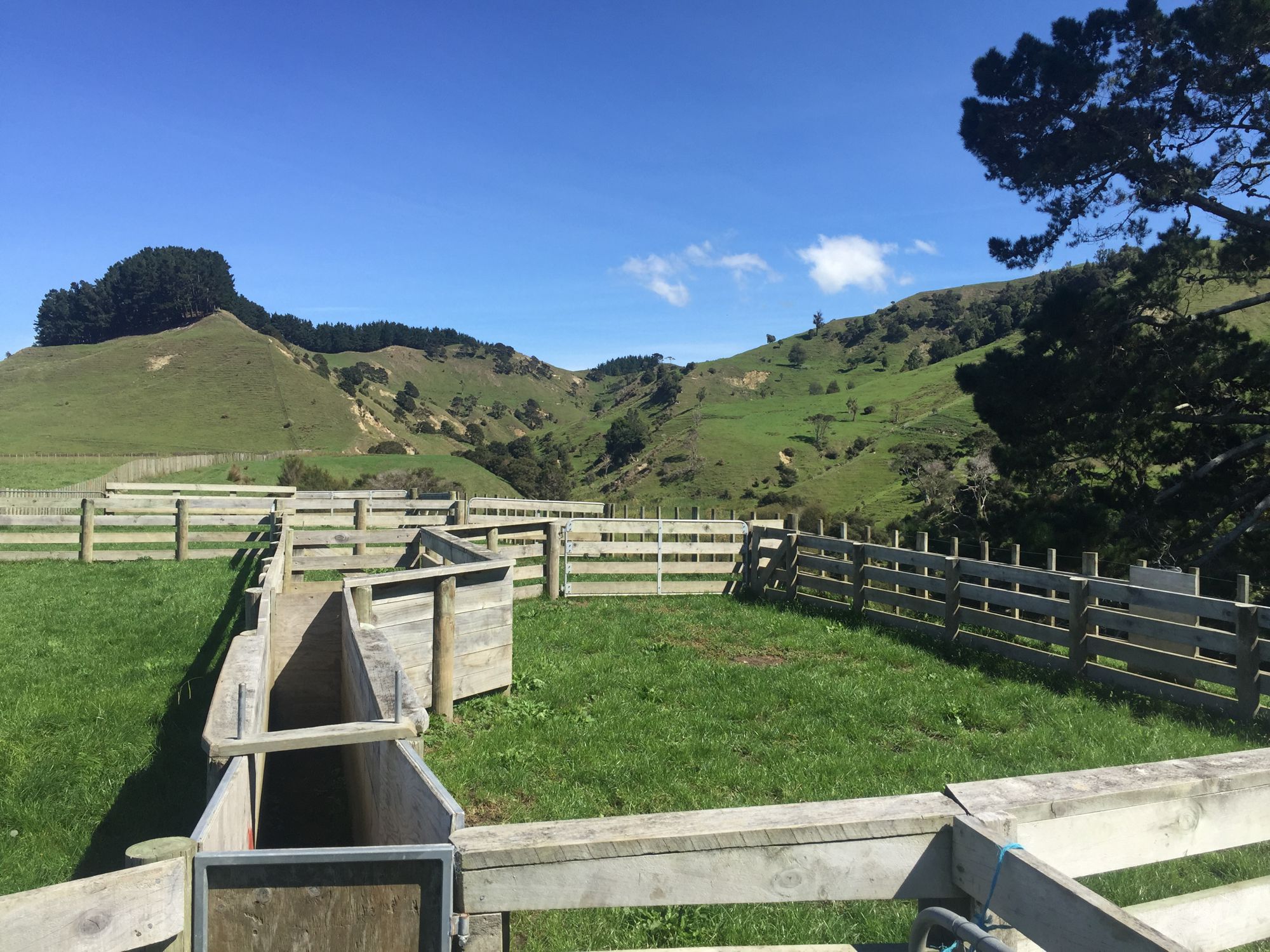 547 Papaiti Road, Papaiti, Whanganui, 0 rūma, 0 rūma horoi