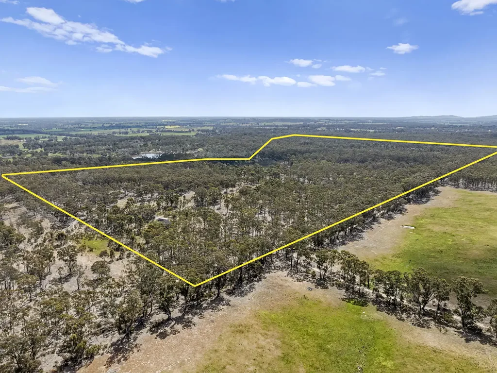 Earlston  Rare 135.6 Private Hideaway - Vast Bushland - Open Pasture - 2 Road Frontages - 13 Minutes Drive To Violet Town