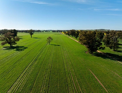 'Greenbank' 2 Mines Road, Young, Riverina, 5房, 2浴, Lifestyle Property