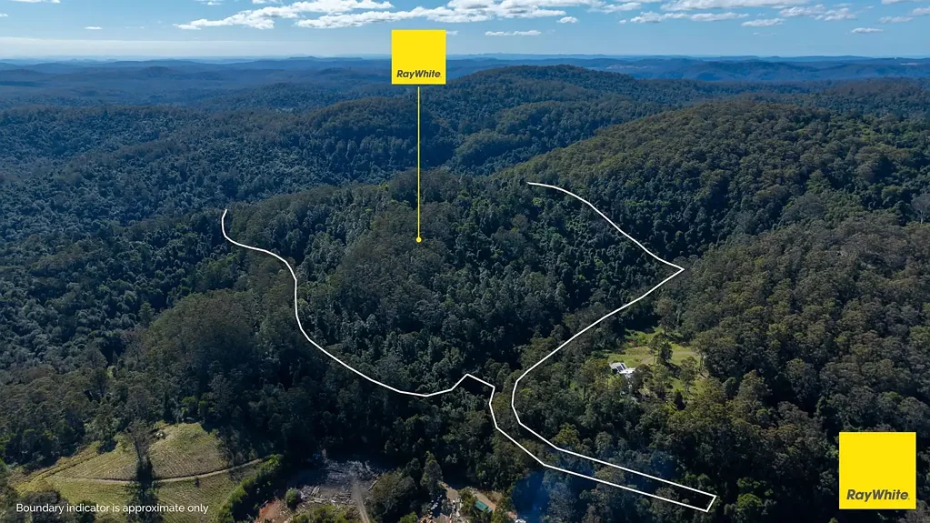 Dorrigo Blank Canvas