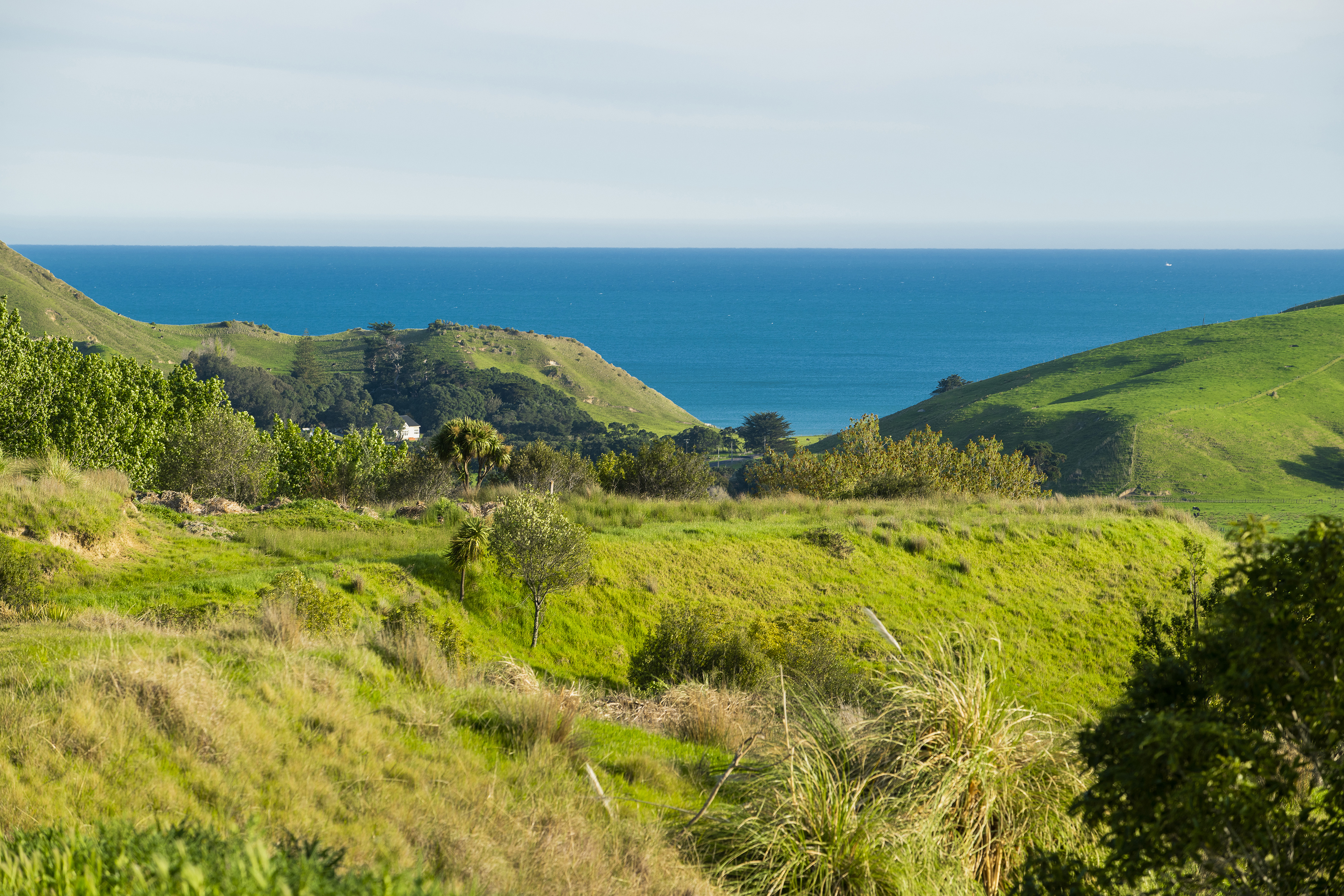 Wheatstone Road, Outer Kaiti, Gisborne, 0房, 1浴