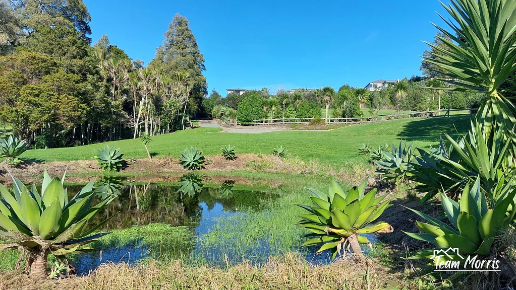 Maungaturoto Park-Like Paradise