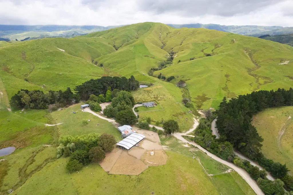 Dannevirke Versatile breeding and finishing country