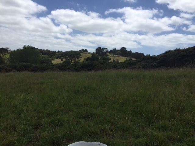 140 Ridge Road, Coatesville, Auckland - Rodney, 5 rūma, 2 rūma horoi