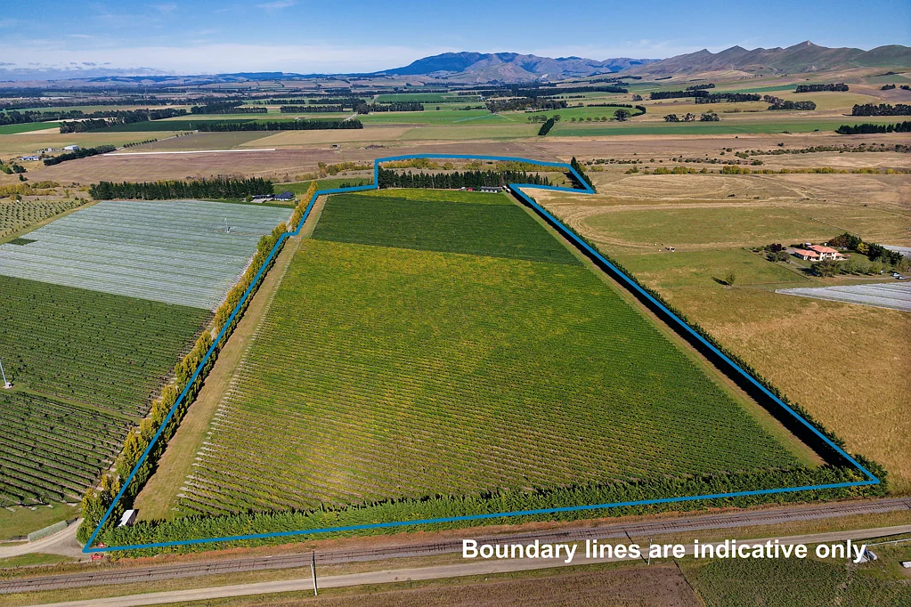 Waipara  Waipara Vineyard Lifestyle