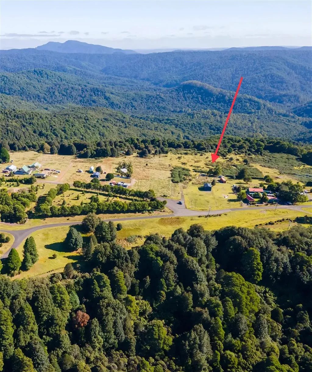 Waratah Views to the mountains