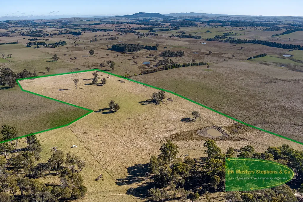 367 Neville Trunkey Road, Neville, NSW 2799