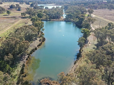155 Tierneys Road, Young, NSW 2594, 0 Bedrooms, 0 Bathrooms, Lifestyle Property