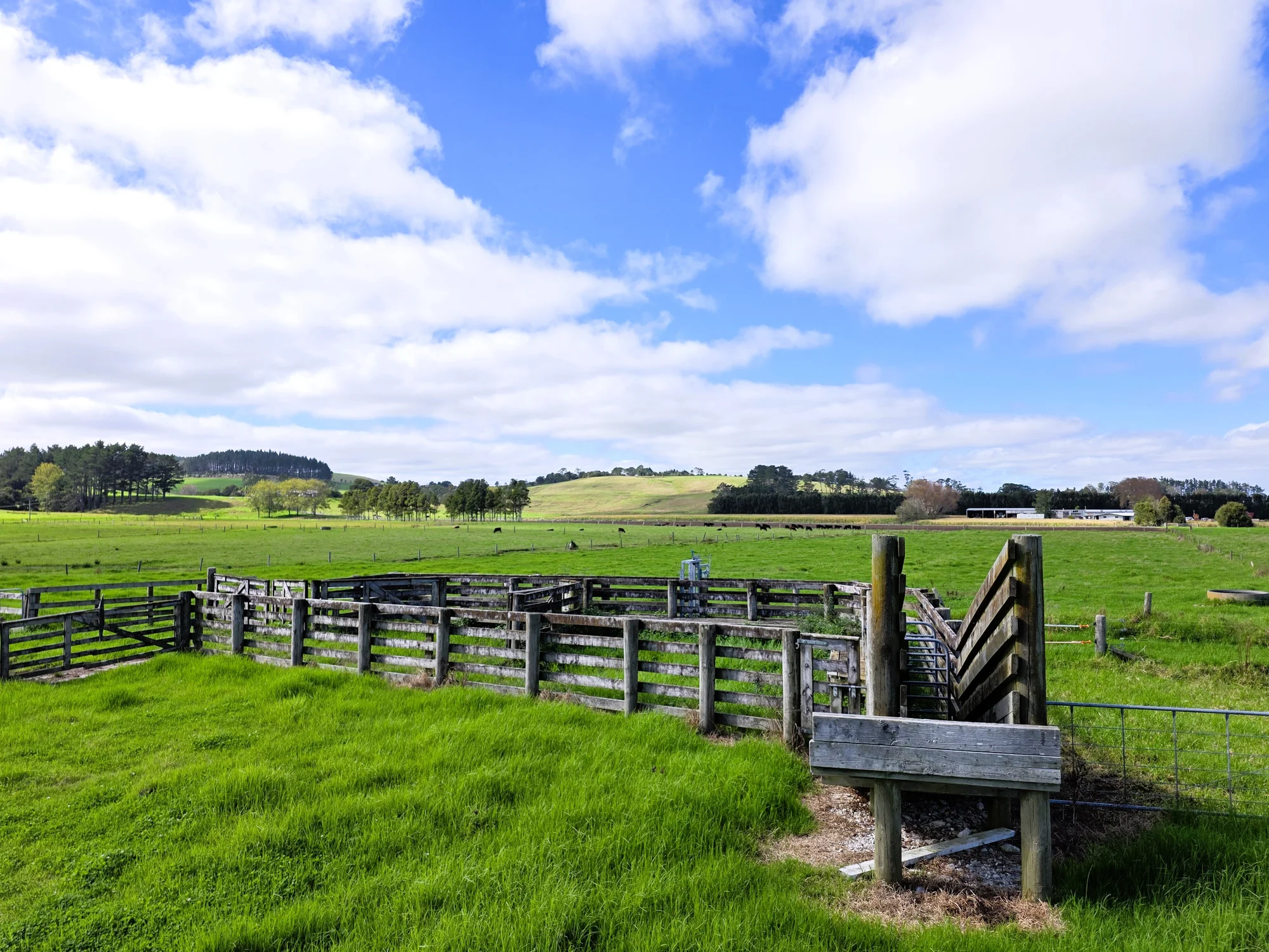 6320 State Highway 12, Dargaville, Kaipara, Northland, 0房, 0浴, Finishing