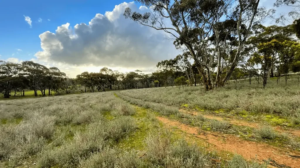 Emu Flat Stunning 27 Acre Lifestyle Holding with Home Site Ready to Go!